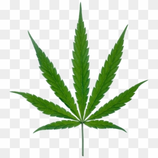 Weed Plant Clipart