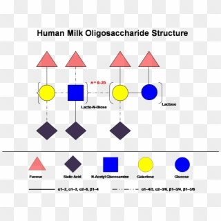 International Milk Genomics Consortium - Human Milk Oligosaccharides Structure Clipart