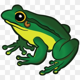 Frog Clipart Graphics Illustrations Free Download On - Transparent Background Frog Png