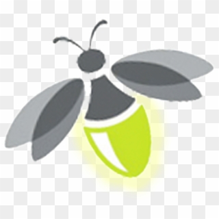 Firefly Transparent Png - Firefly Transparent Clipart