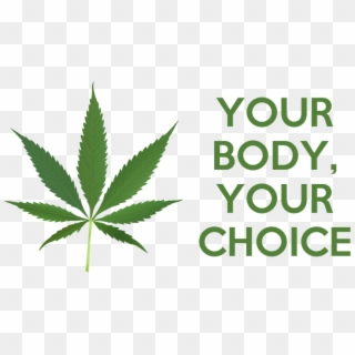 The Libertarian Argument For Legalizing Marijuana - Your Body Your Choice Marijuana Clipart