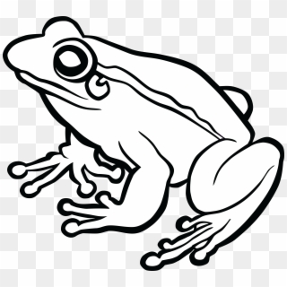 Jpg Freeuse Frog Black And White Clipart - Black And White Frog Clip Art - Png Download