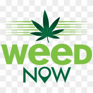 Weed Images - Cannabis Logo Png Clipart