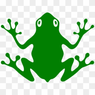 Frog Vector - Frog Vector Free Clipart