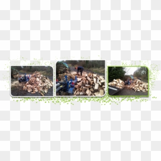 Logs Delivered To You - Lumber Clipart