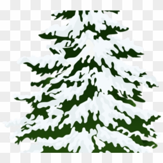 Pine Tree Clipart Leaf - Pine Tree With Snow Clip Art - Png Download