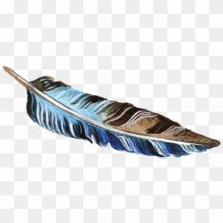Brown And Blue Feather Transparent Decorative Clipart