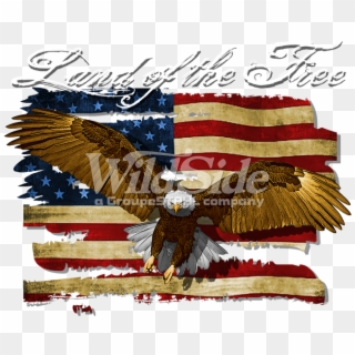 Land Of The Free - Bald Eagle Clipart