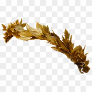 Greek Crown Greekcrown Leaves Gold Golden Goldcrown - Gold Leaf Crown Png Clipart