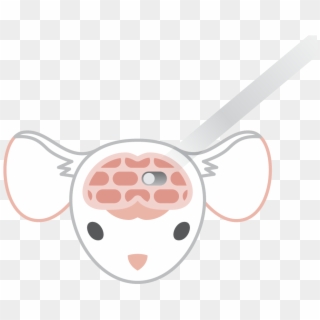 Neuron Clipart Fill In Blank - Png Download