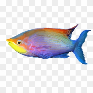 Tropical Fish Png Clipart