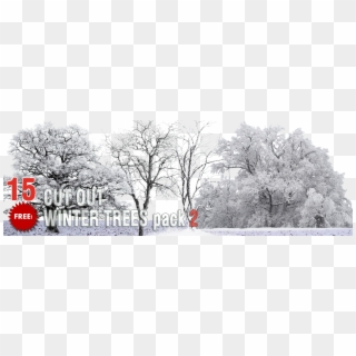 Free Winter Trees Png Pack - Tree Winter Png Free Clipart