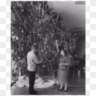 Decorating The Christmas Tree At The College Union, - Photograph Clipart