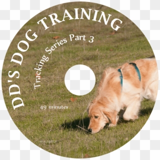 Tracking - Dog Catches Something Clipart