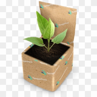 Sustainable Plant Package - Flowerpot Clipart