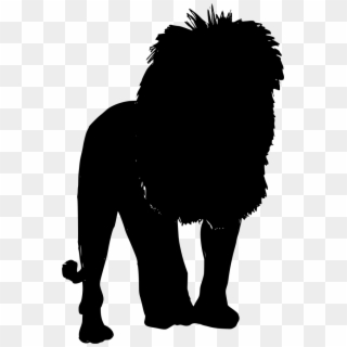 Download Png - Lion Clipart