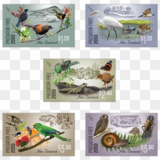 Predator Free 2050 Set Of Stamps - Predator Free 2050 Stamps Clipart