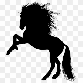 Horse Rearing Unicorn Equestrian Stallion - Stallion Silhouette Clipart