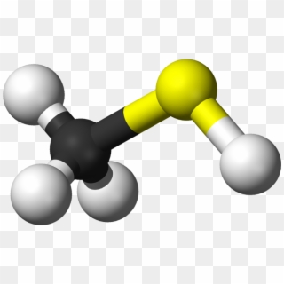Methanethiol Molecule Model - Methyl Mercaptan Clipart