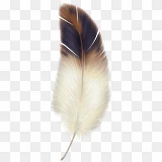 Free Png Download Feather Png Images Background Png - Bird Feather Clipart Transparent Png