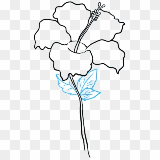 Hibiscus Flower Drawing - Hibiscus Flower Drawing Easy Clipart