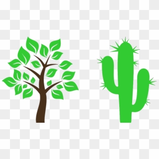 Cactus Clipart Tree - School Of English - Png Download