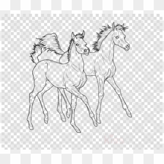 Arabian Horse Clipart Foal Pony Mustang - Chibi Ryuk - Png Download