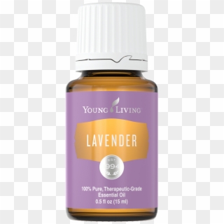Harvested And Distilled In The U - Lavender Young Living Png Clipart