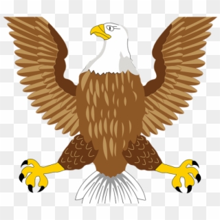 Golden Eagle Clipart Dead Eagle - Native American Eagle Bustle - Png Download