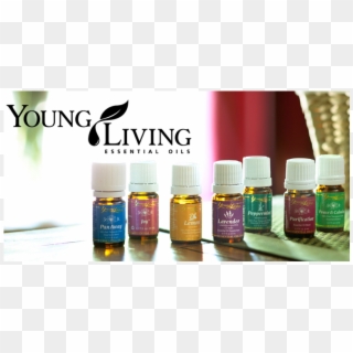 Young Living Essential Oils Clipart