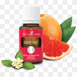Why We Love Grapefruit Essential Oil - Grapefruit Young Living Png Clipart