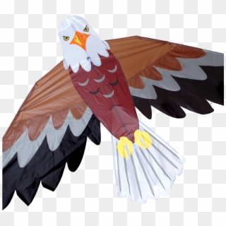Bald Eagle Clipart Kite Bird - Eagle Kites - Png Download