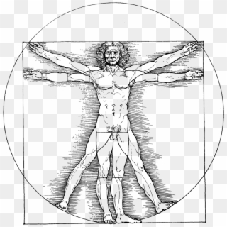 Vitruvianischer Mann - Leonardo Da Vinci Merchandise Clipart