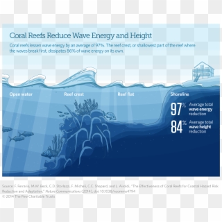 Coral Reefs Reduce Wave Energy And Height - Do Coral Reefs Protect Shorelines Clipart