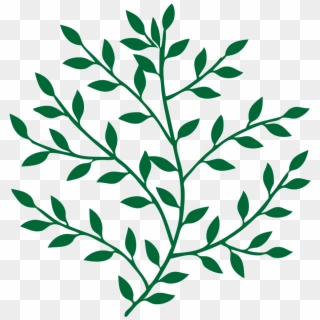 Leaf Branch Tree Bay Laurel Art - Branches And Leaves Png Clipart