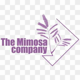 The Mimosa Company - Graphic Design Clipart