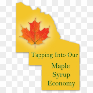 Developing Commercial Maple Syrup Production In And - Autumn Clipart
