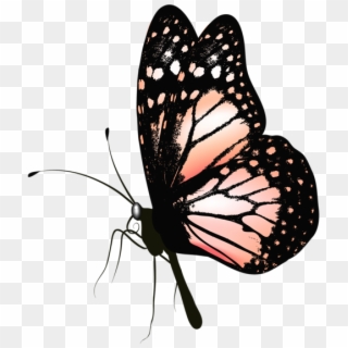 Gallery Butterflies Png - Clip Art Butterfly Realistic Transparent Png