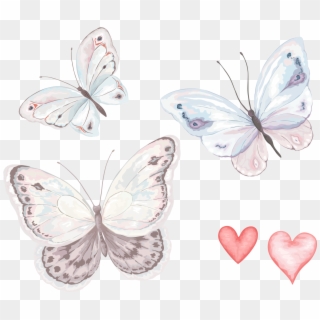 Transparent Watercolor Butterfly Png , Png Download - Butterflies Watercolor Transparent Clipart