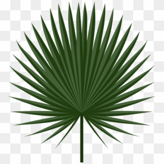 Free Palm Leaf Download, Transparent Background - Vector Tropical Leaf Png Clipart