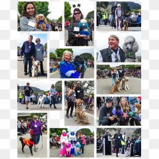 Poodle Day Parade Winners - Collage Clipart