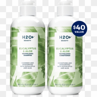 Hair Flips Encouraged - H2o Eucalyptus Clipart