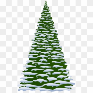Free Png Winter Pine Tree Transparent Png - Winter Pine Tree Clipart