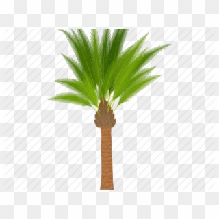 Images Of Cartoon Palm Trees - Cartoon Palm Oil Tree Clipart
