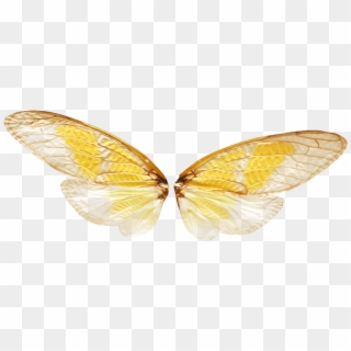 Fairylilies Butterfly Wings Png Transparent Mine But - Fairy Wings Png Transparent Clipart