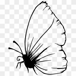 Brush-footed Butterfly Clipart