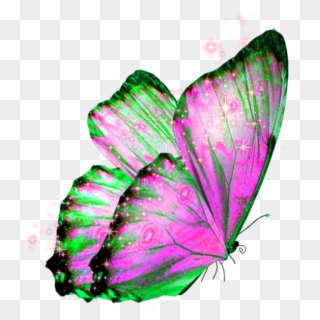 #butterfly #wings #butterflywings #fairy - Transparent Background Butterfly Pics Png Clipart