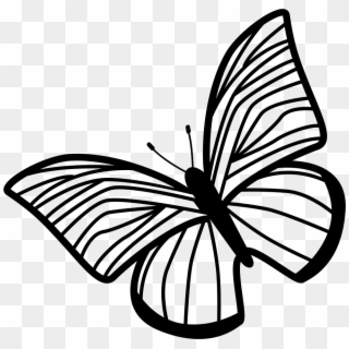 Butterfly Of Thin Striped Wings Rotated To Left Comments - Draw The Hands Of The Clock Clipart