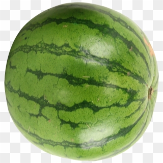 Watermelon Transparent Png Images Free Download Watermelon Clipart