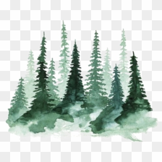 Freetoedit Watercolor Tree Green Forrest - Watercolor Pine Tree Png Clipart